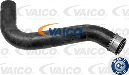 VAICO V30-1063 - Crijevo hladnjaka www.molydon.hr