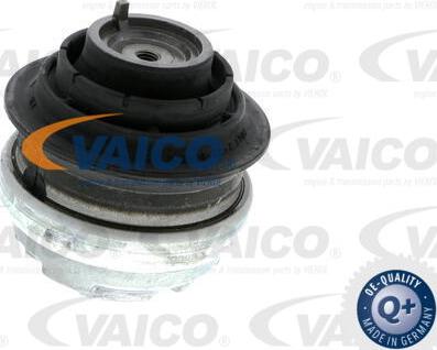VAICO V30-1113-1 - Nosač motora www.molydon.hr