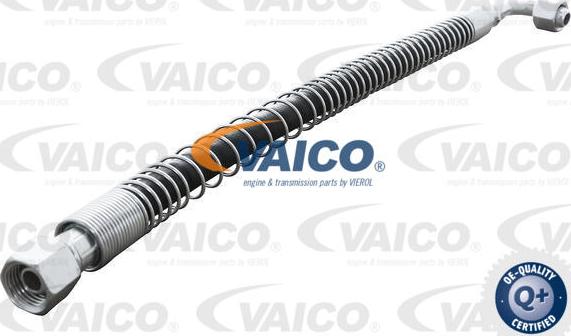 VAICO V30-1135 - Crijevo, hladnjak ulja za mjenjač www.molydon.hr