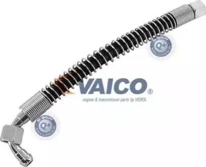 VAICO V30-1131 - Crijevo, hladnjak ulja za mjenjač www.molydon.hr