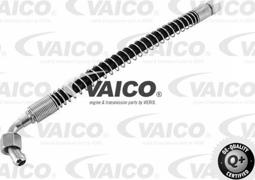 VAICO V30-1133 - Crijevo, hladnjak ulja za mjenjač www.molydon.hr