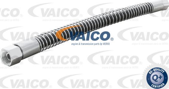 VAICO V30-1132 - Crijevo, hladnjak ulja za mjenjač www.molydon.hr