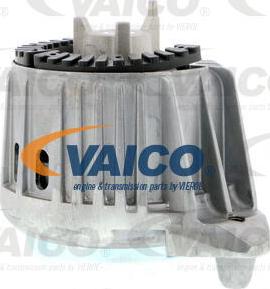 VAICO V30-1859 - Nosač motora www.molydon.hr