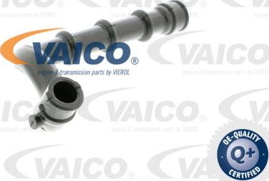 VAICO V30-1879 - Crijevo, odusak bloka motora www.molydon.hr