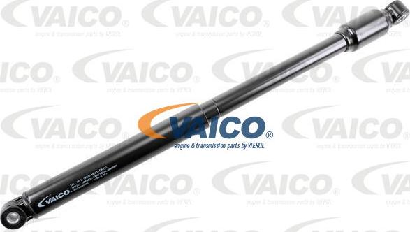 VAICO V30-1251 - Amortizer upravljača www.molydon.hr
