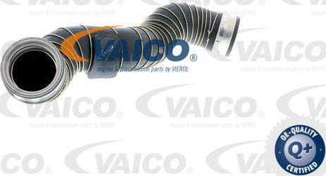 VAICO V30-1775 - Crijevo interkulera www.molydon.hr