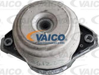 VAICO V30-3581 - Nosač motora www.molydon.hr