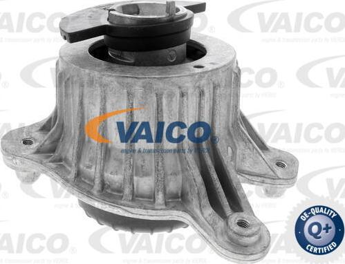 VAICO V30-3094 - Nosač motora www.molydon.hr
