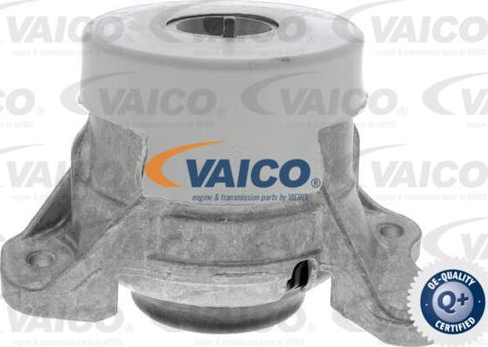VAICO V30-3095 - Nosač motora www.molydon.hr