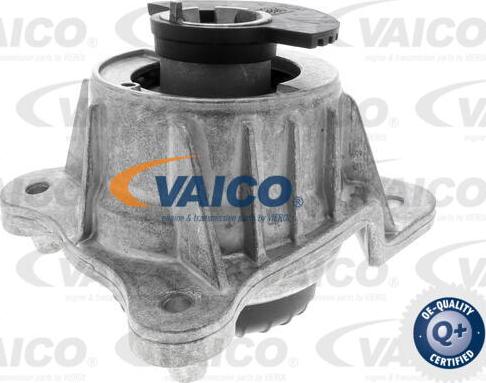 VAICO V30-3090 - Nosač motora www.molydon.hr