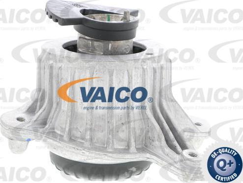 VAICO V30-3098 - Nosač motora www.molydon.hr