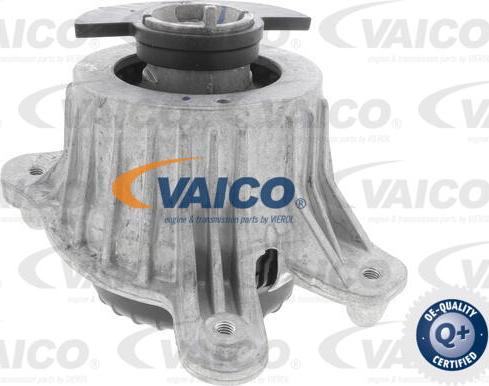 VAICO V30-3194 - Nosač motora www.molydon.hr