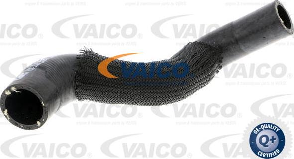 VAICO V30-3149 - Crijevo hladnjaka www.molydon.hr
