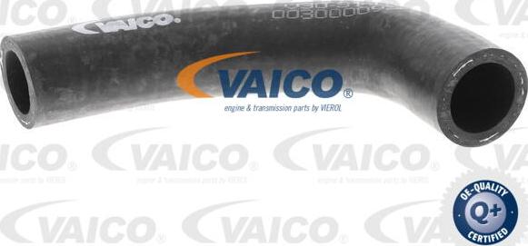 VAICO V30-3140 - Crijevo hladnjaka www.molydon.hr