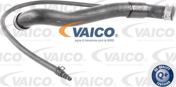 VAICO V30-3142 - Crijevo hladnjaka www.molydon.hr