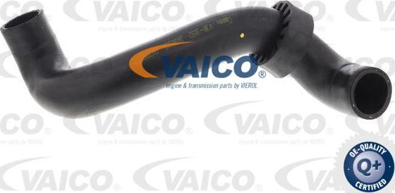 VAICO V30-3152 - Crijevo hladnjaka www.molydon.hr