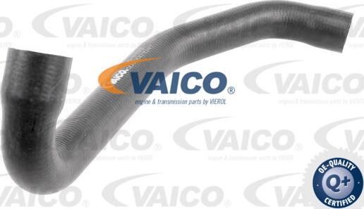 VAICO V30-3139 - Crijevo hladnjaka www.molydon.hr