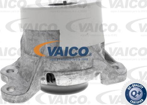 VAICO V30-3262 - Nosač motora www.molydon.hr