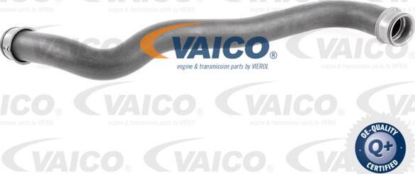 VAICO V30-2907 - Crijevo hladnjaka www.molydon.hr