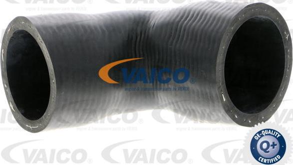 VAICO V30-2916 - Crijevo hladnjaka www.molydon.hr