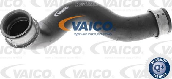 VAICO V30-2910 - Crijevo hladnjaka www.molydon.hr