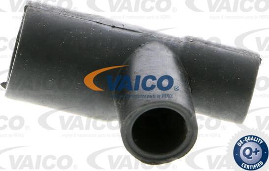 VAICO V30-2925 - Crijevo, odusak brtveniivke na poklopcu glave cilindra www.molydon.hr