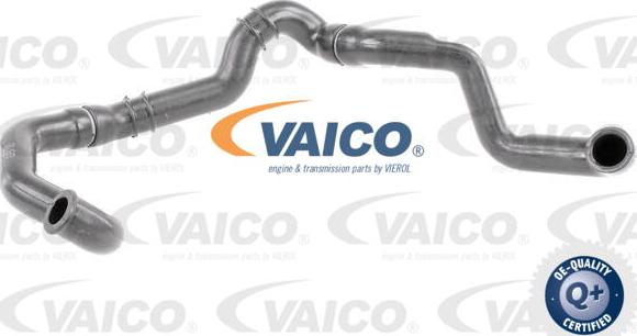 VAICO V30-2926 - Crijevo, odusak brtveniivke na poklopcu glave cilindra www.molydon.hr