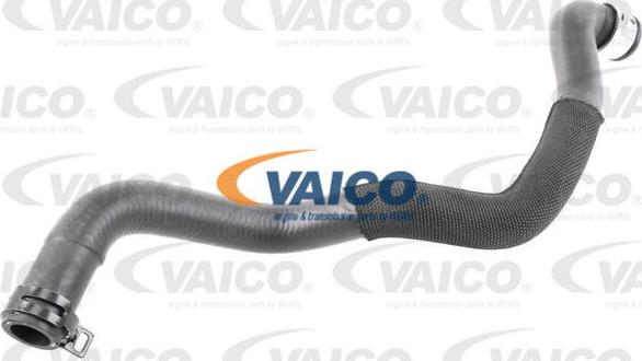 VAICO V30-2971 - Crijevo hladnjaka www.molydon.hr
