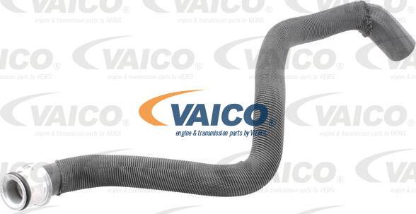 VAICO V30-2973 - Crijevo hladnjaka www.molydon.hr