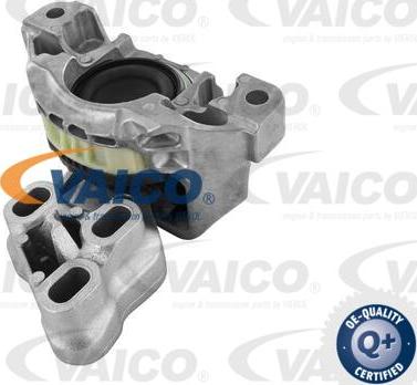 VAICO V30-2345 - Ležište | Držač | Uležištenje, automatski mjenjač www.molydon.hr