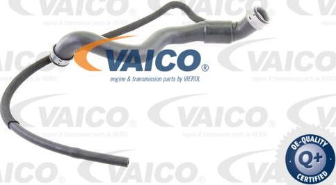 VAICO V30-2236 - Crijevo hladnjaka www.molydon.hr