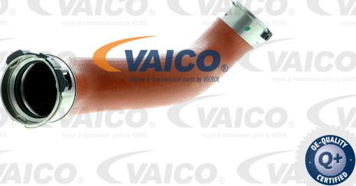 VAICO V30-2238 - Crijevo interkulera www.molydon.hr