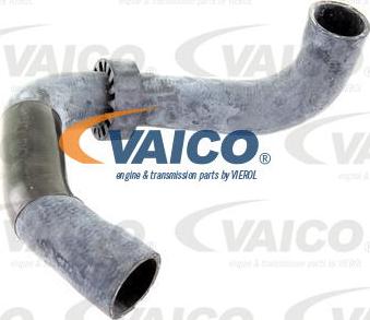 VAICO V30-2220 - Crijevo hladnjaka www.molydon.hr