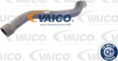 VAICO V30-2221 - Crijevo hladnjaka www.molydon.hr