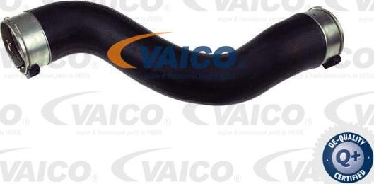 VAICO V30-2715 - Crijevo interkulera www.molydon.hr