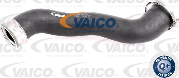 VAICO V30-2713 - Crijevo interkulera www.molydon.hr