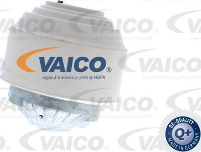 VAICO V30-7388 - Nosač motora www.molydon.hr