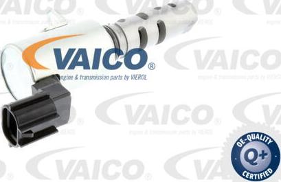 VAICO V37-0137 - Lajtung ( cijev ) ventil, podešavanje bregastog vratila www.molydon.hr