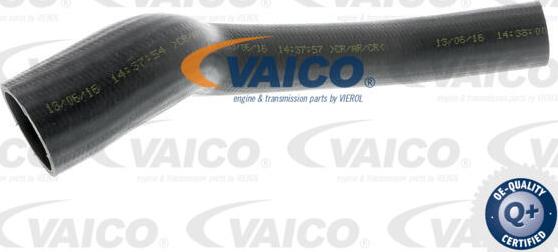 VAICO V25-0948 - Crijevo interkulera www.molydon.hr