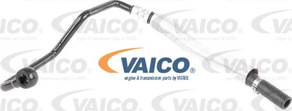 VAICO V20-1735 - Hidraulicno Crijevo, upravljanje www.molydon.hr