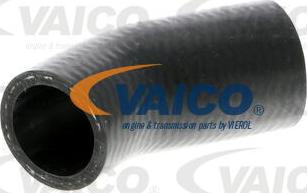 VAICO V20-2078 - Crijevo hladnjaka www.molydon.hr