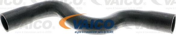 VAICO V21-0033 - Crijevo hladnjaka www.molydon.hr