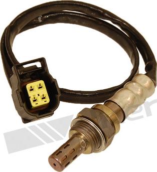 Walker Products 250-24460 - Lambda-sonda www.molydon.hr