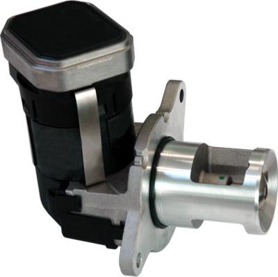 WE PARTS 330690217 - EGR ventil www.molydon.hr