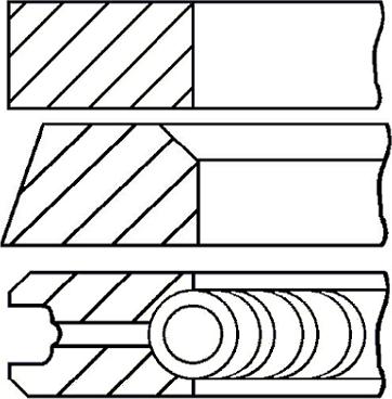 Wilmink Group WG1096438 - Komplet klipnih prstenova www.molydon.hr