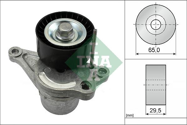 Wilmink Group WG1253465 - Natezač remena, klinasti rebrasti remen  www.molydon.hr