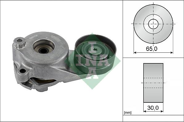 Wilmink Group WG1253422 - Natezač remena, klinasti rebrasti remen  www.molydon.hr