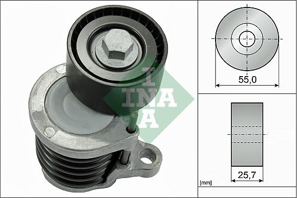 Wilmink Group WG1710197 - Natezač remena, klinasti rebrasti remen  www.molydon.hr