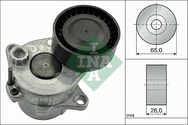 Wilmink Group WG1710159 - Natezač remena, klinasti rebrasti remen  www.molydon.hr