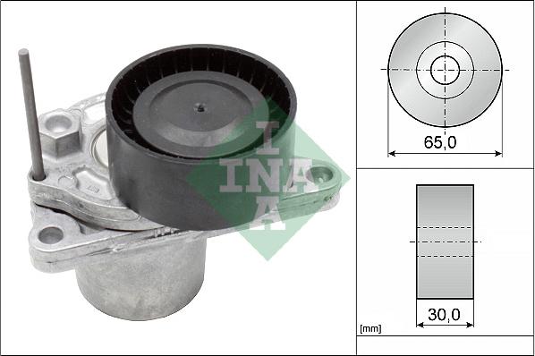 Wilmink Group WG1780546 - Natezač remena, klinasti rebrasti remen  www.molydon.hr